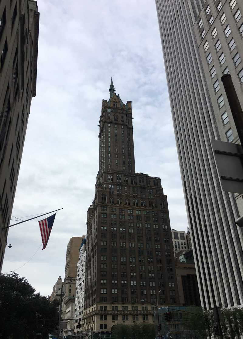 5thavenue6.jpg